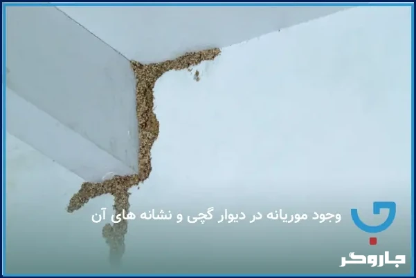 راه‌های موثر از بین بردن موریانه در دیوار گچی خانه‌های قدیمی | مجله جاروگر